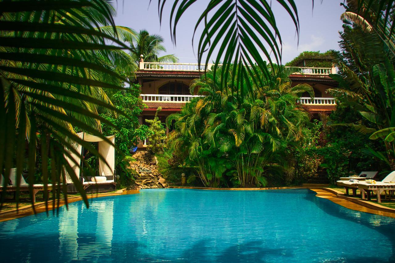 Papa Jolly Eco Resort-Near Morjim Beach Esterno foto